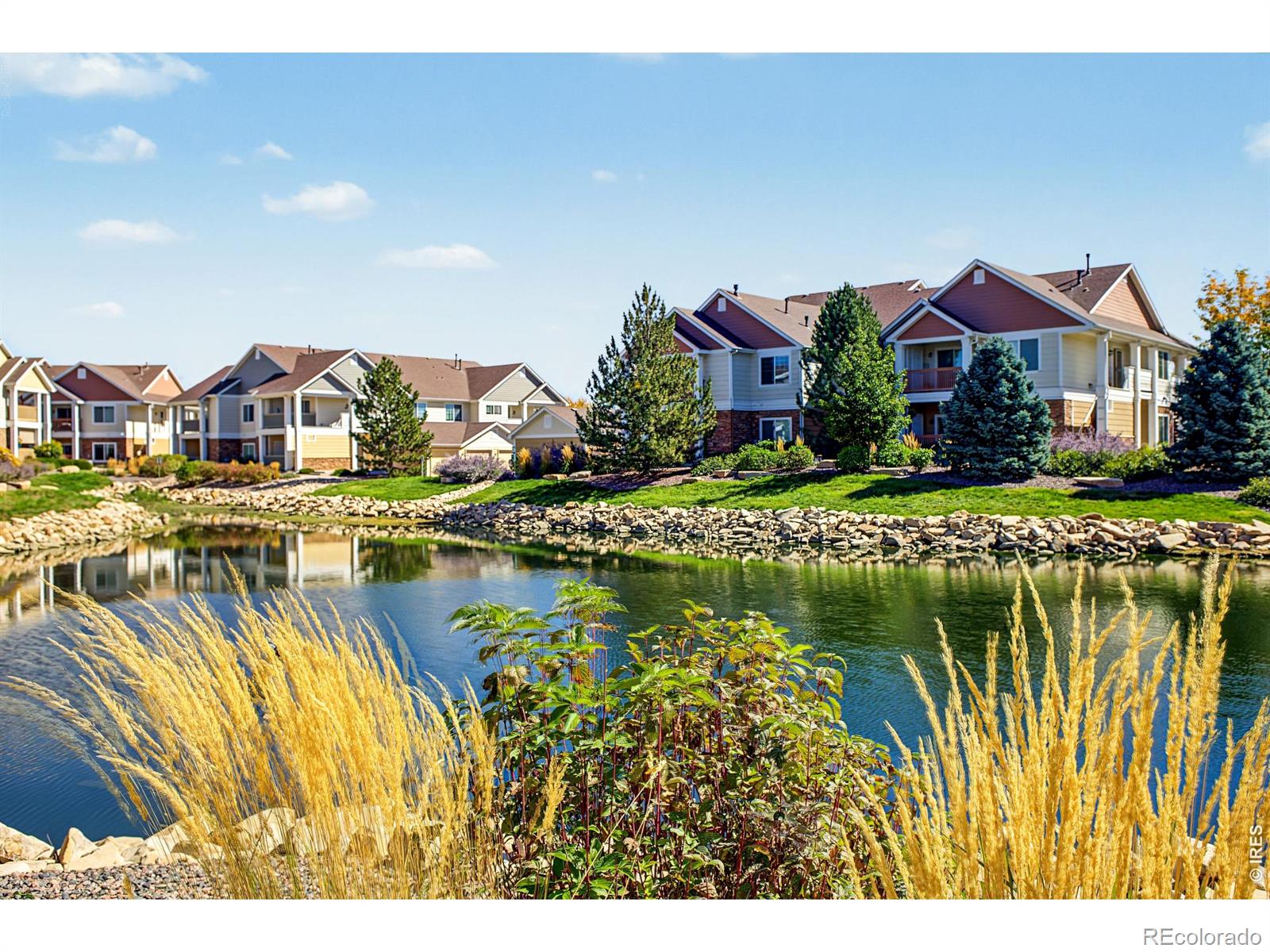 MLS Image #40 for 4955  hahns peak drive,loveland, Colorado