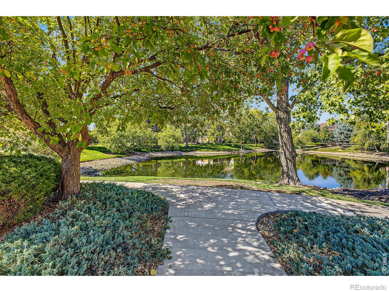 MLS Image #44 for 4955  hahns peak drive,loveland, Colorado