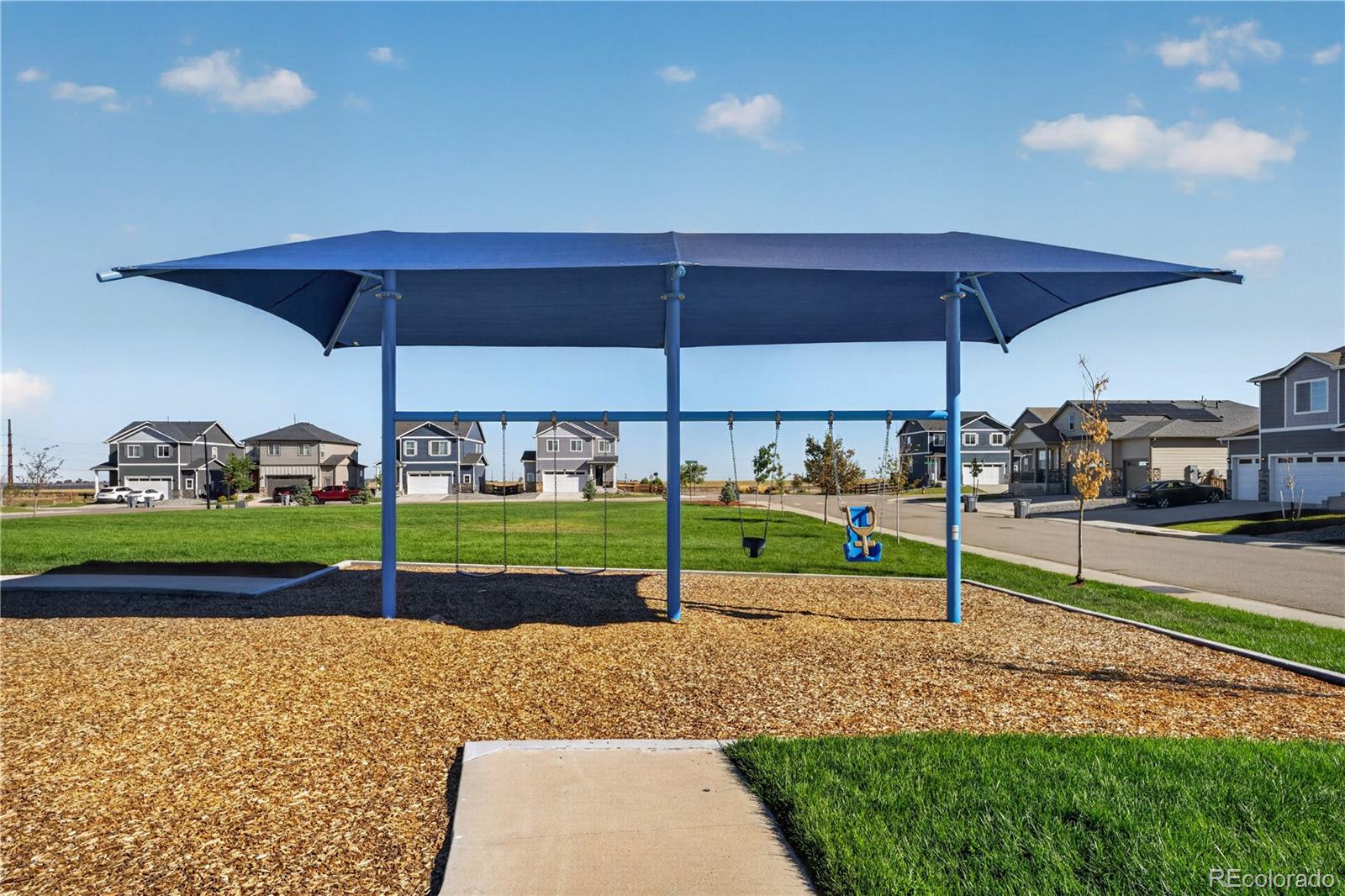 MLS Image #45 for 163  coyote street,bennett, Colorado