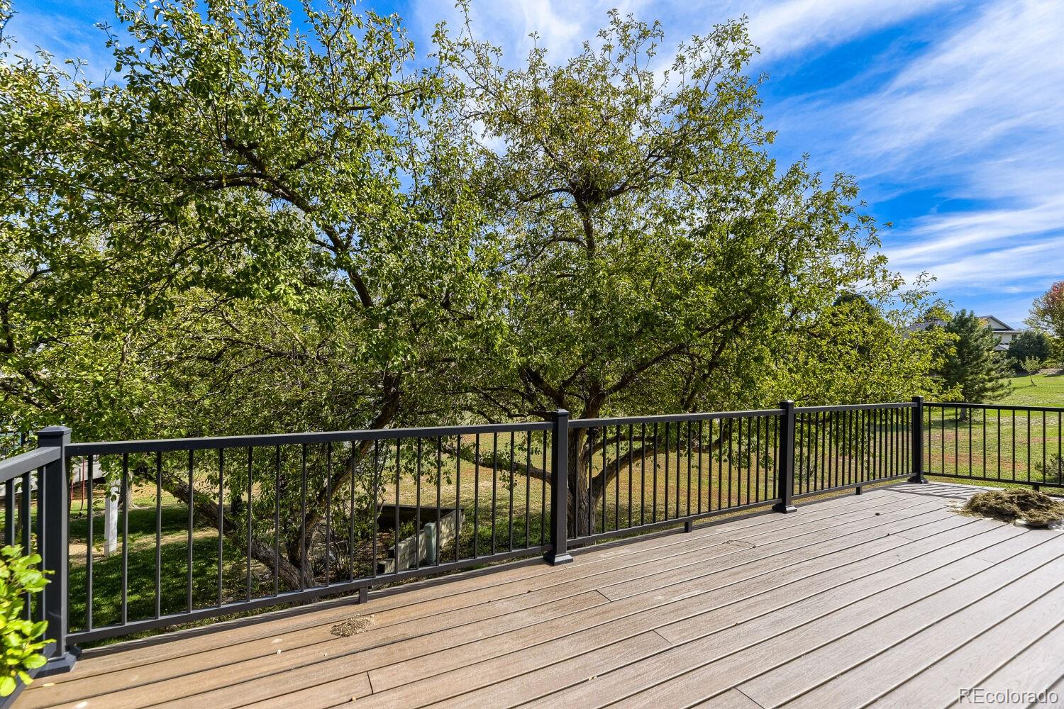 MLS Image #30 for 7754  woodstock court,castle pines, Colorado
