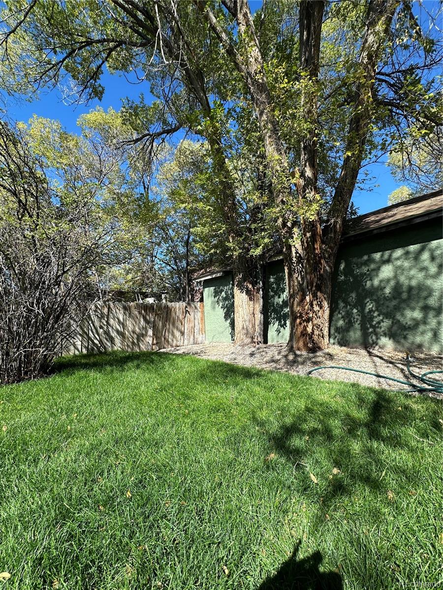 MLS Image #16 for 1121  san juan avenue,alamosa, Colorado