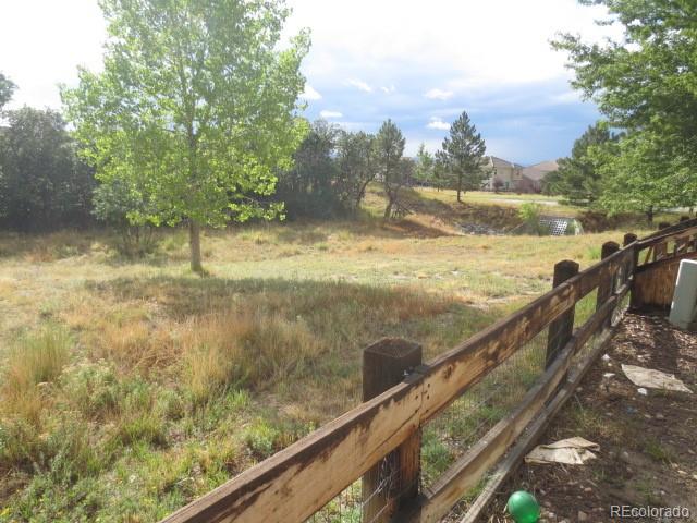 MLS Image #7 for 1747  candleglow street,castle rock, Colorado