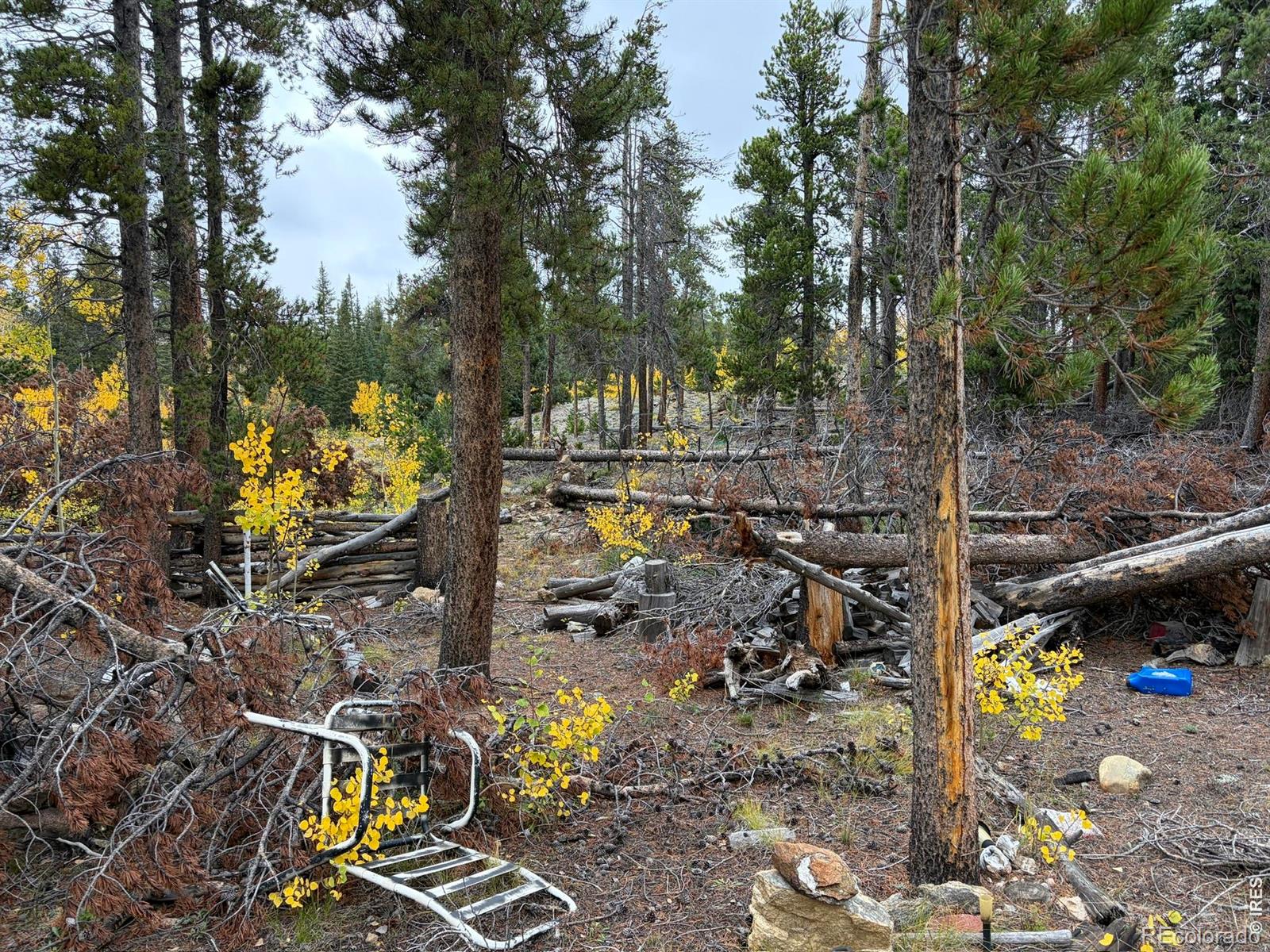 MLS Image #12 for 1351  lump gulch road,black hawk, Colorado