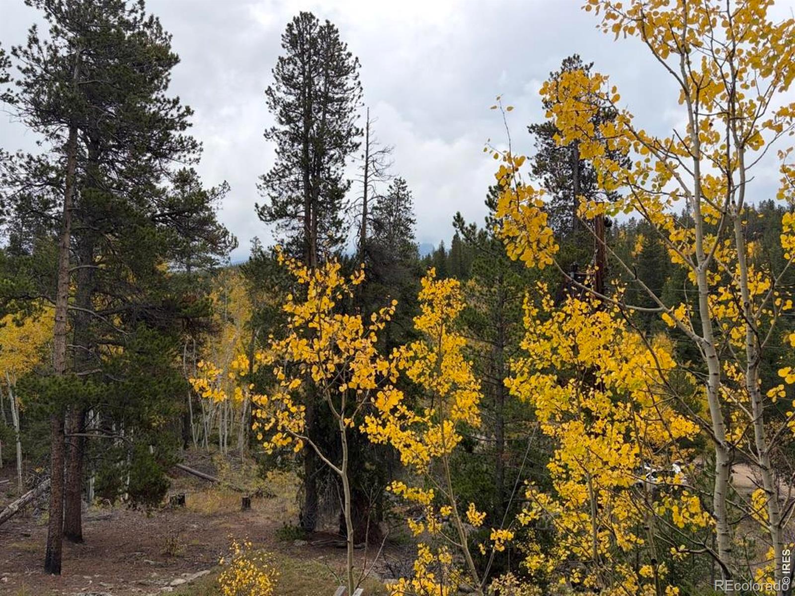 MLS Image #39 for 1351  lump gulch road,black hawk, Colorado