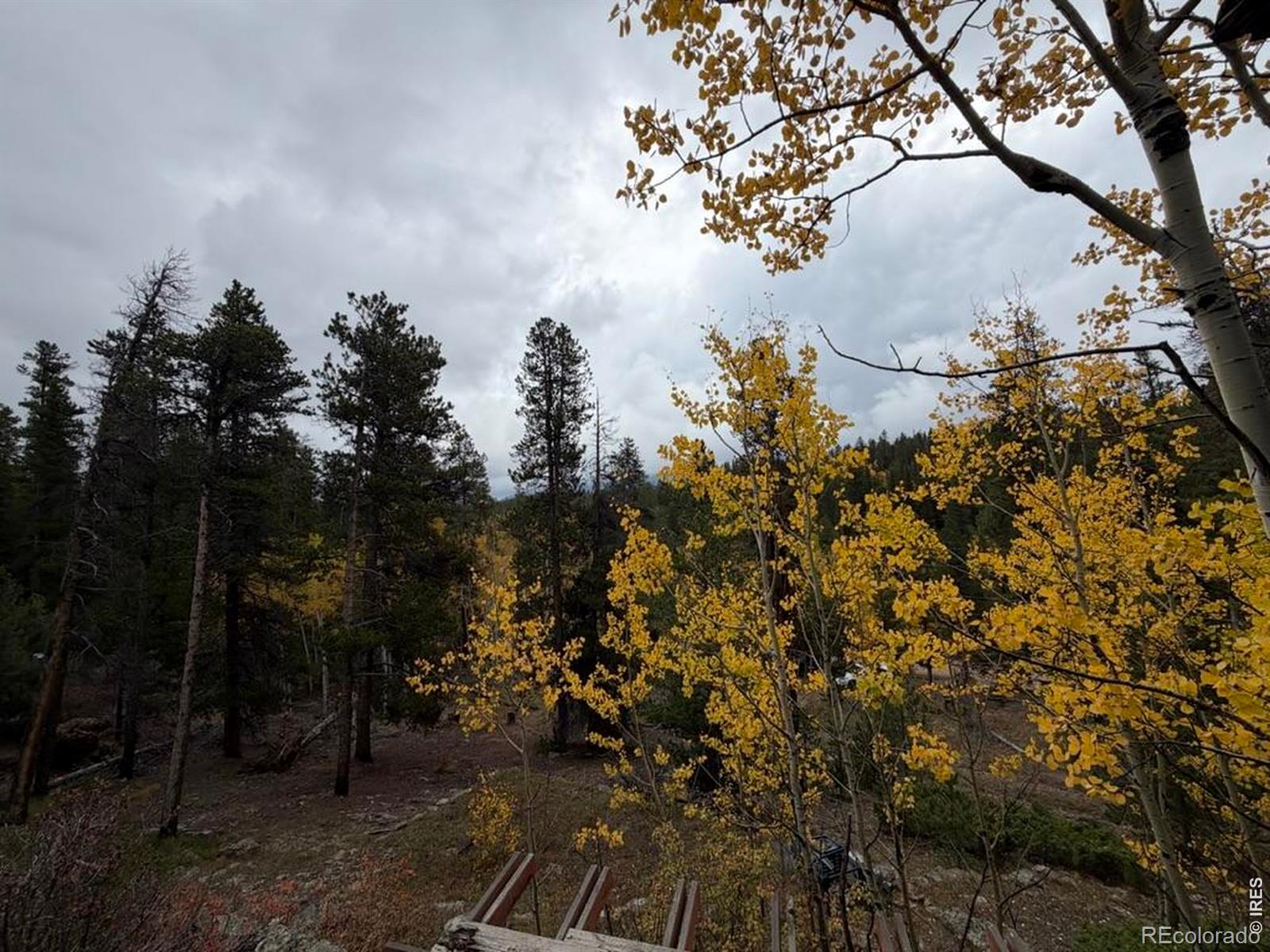 MLS Image #40 for 1351  lump gulch road,black hawk, Colorado