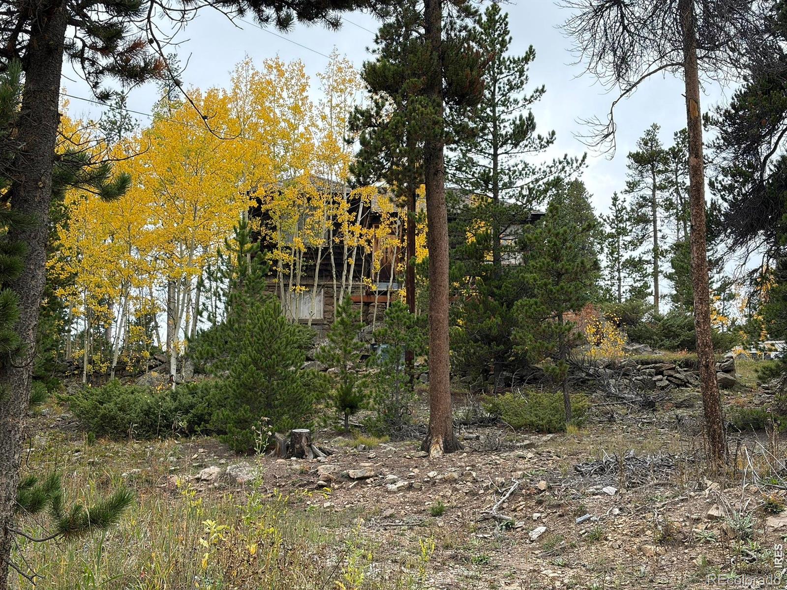 MLS Image #5 for 1351  lump gulch road,black hawk, Colorado