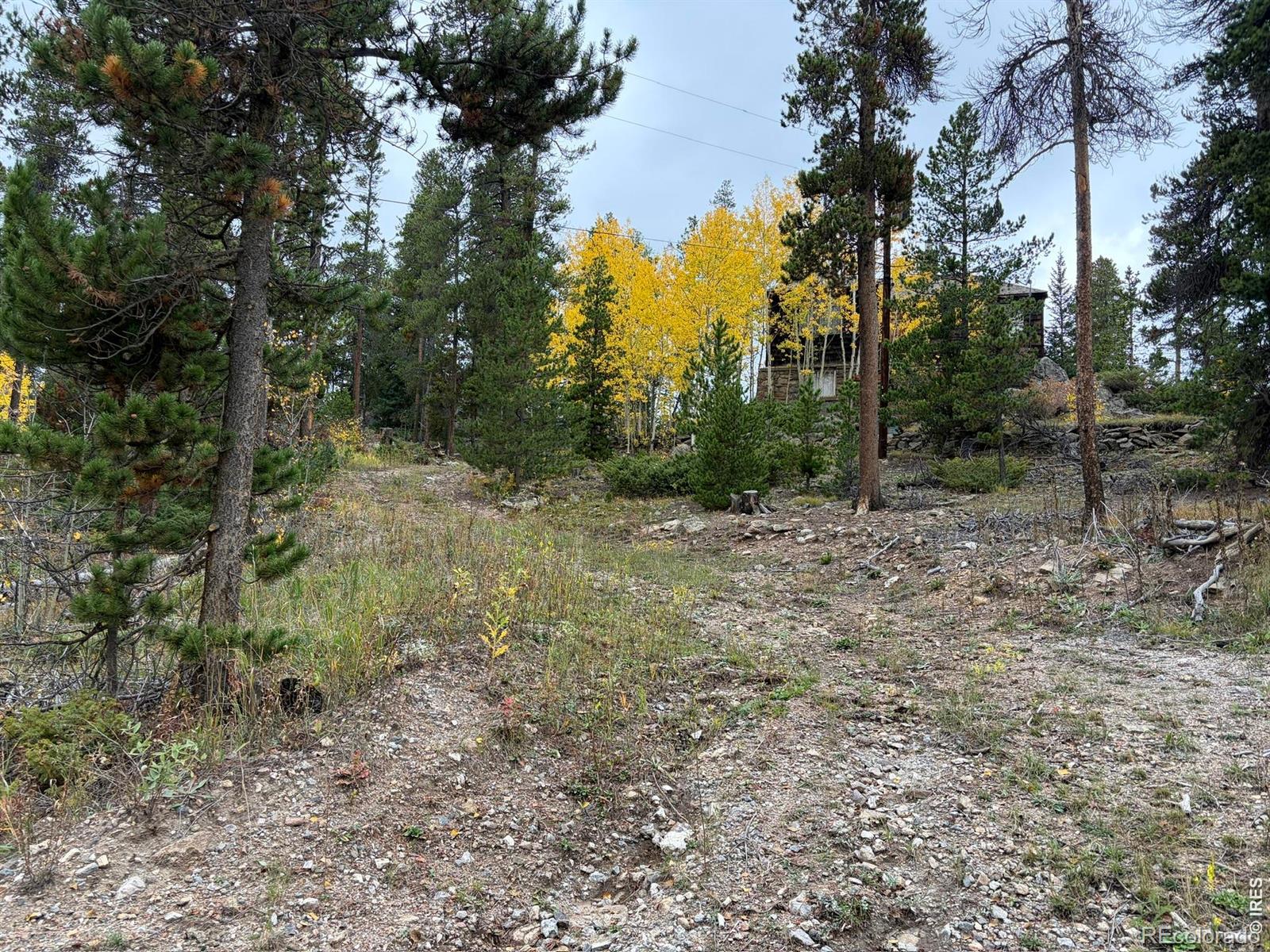MLS Image #6 for 1351  lump gulch road,black hawk, Colorado