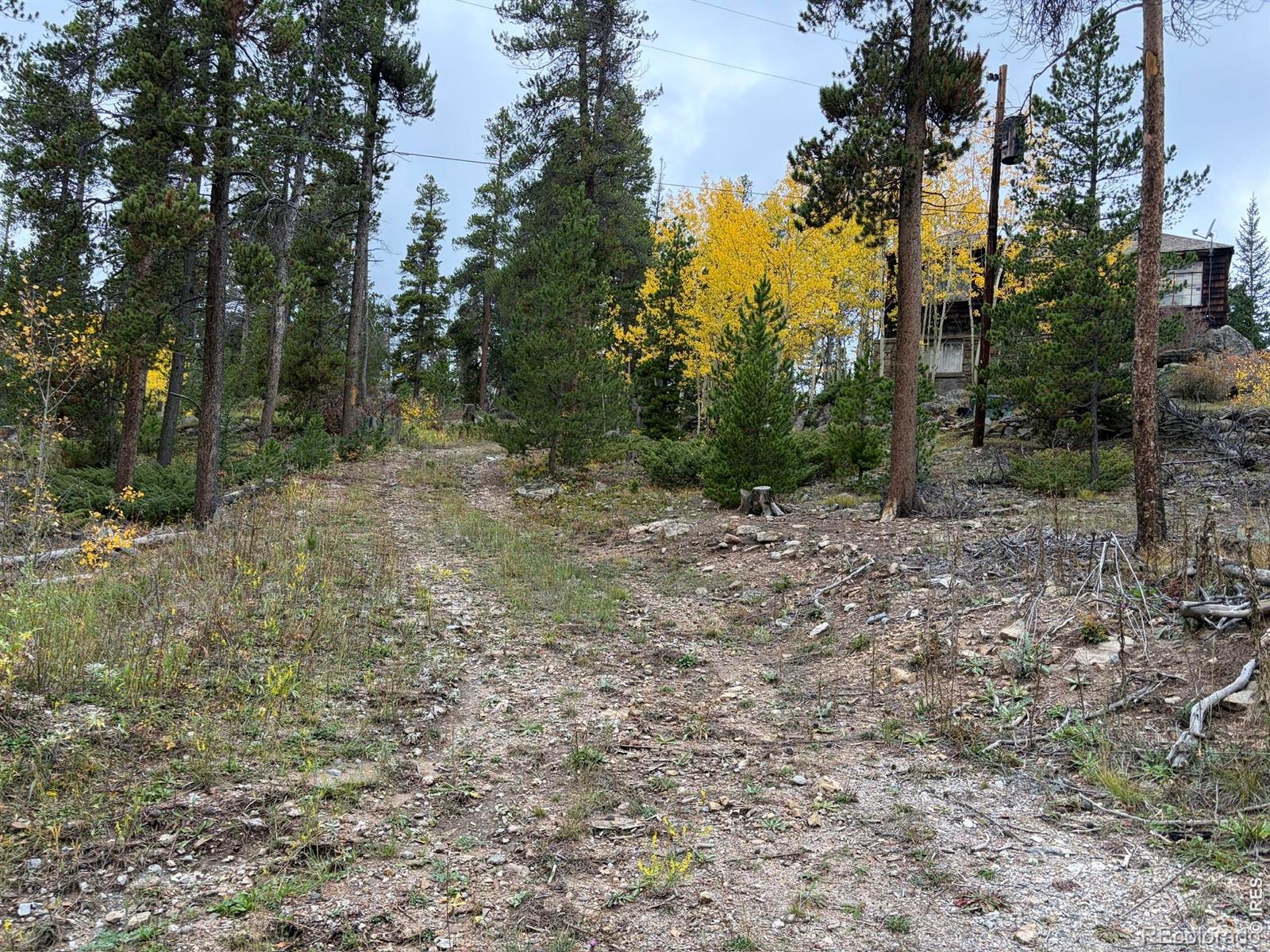 MLS Image #7 for 1351  lump gulch road,black hawk, Colorado