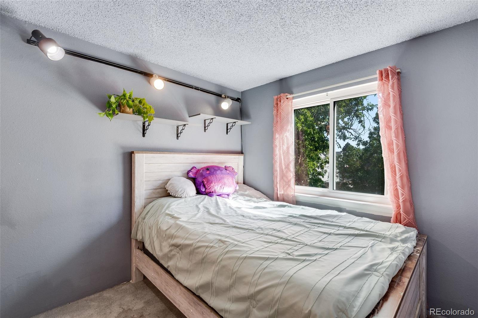 MLS Image #10 for 14532 e 45th avenue,denver, Colorado