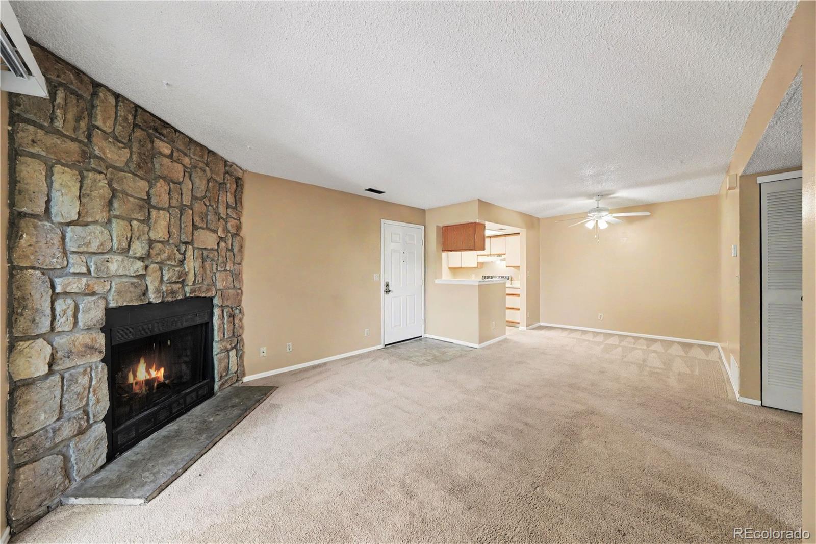 MLS Image #6 for 842  tenderfoot hill road,colorado springs, Colorado