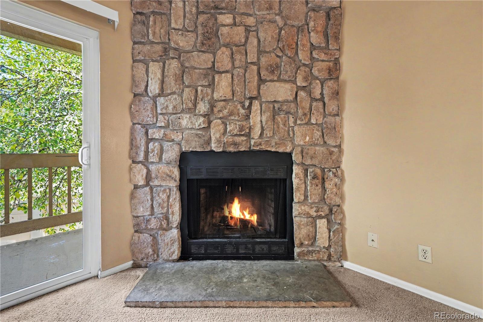 MLS Image #8 for 842  tenderfoot hill road,colorado springs, Colorado