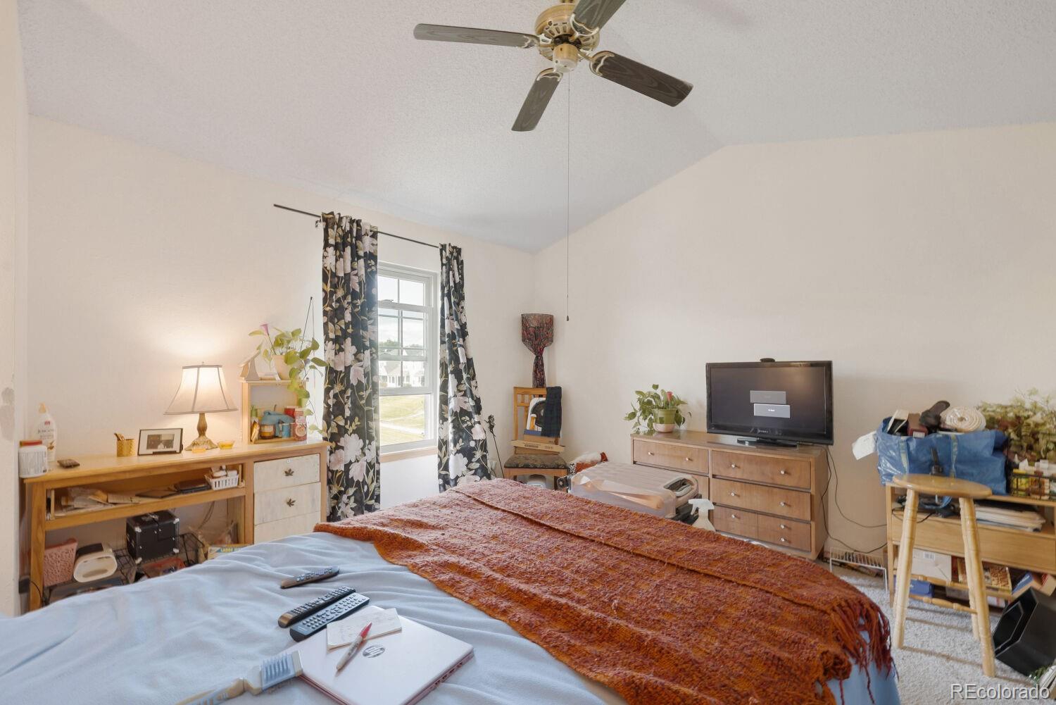 MLS Image #13 for 19750  applewood court,parker, Colorado