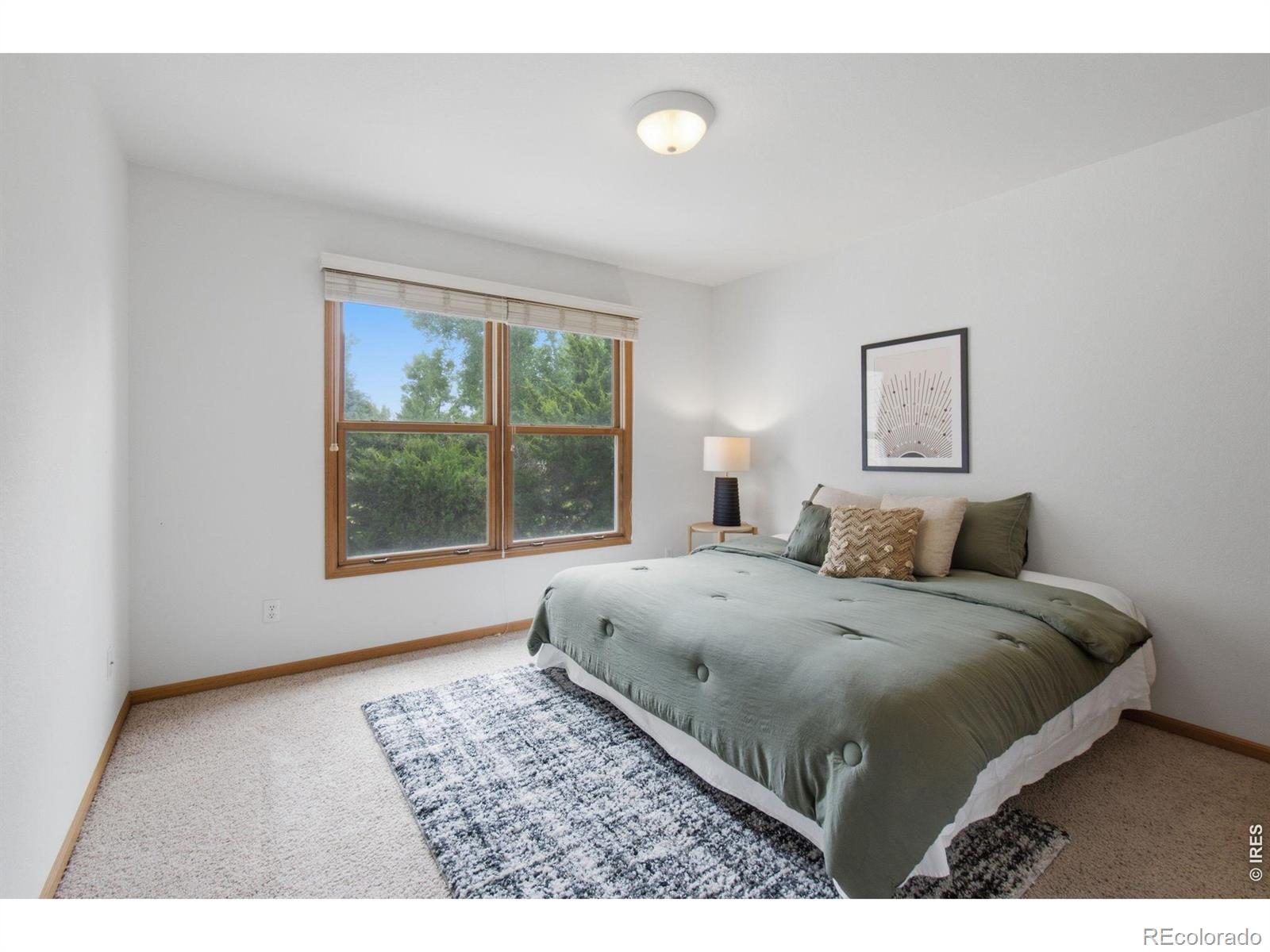MLS Image #10 for 3926  ridgeway court,fort collins, Colorado