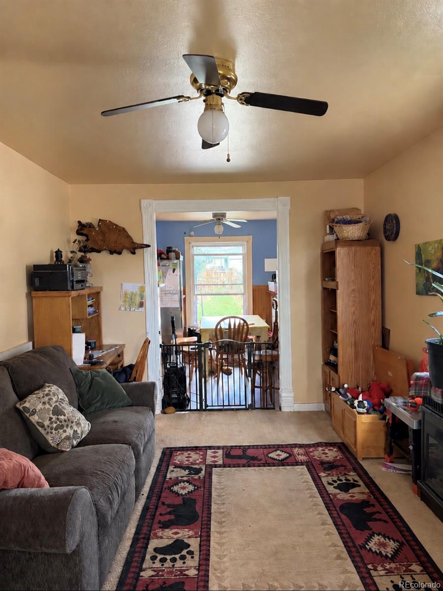 MLS Image #11 for 125 w masonic avenue,cripple creek, Colorado