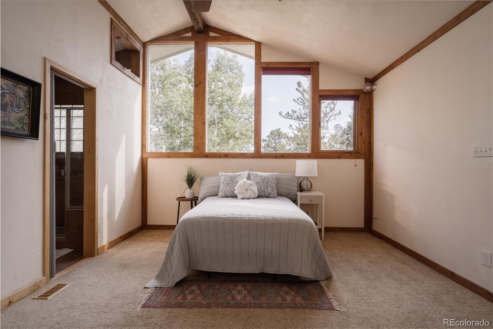 MLS Image #46 for 190  circle drive,evergreen, Colorado