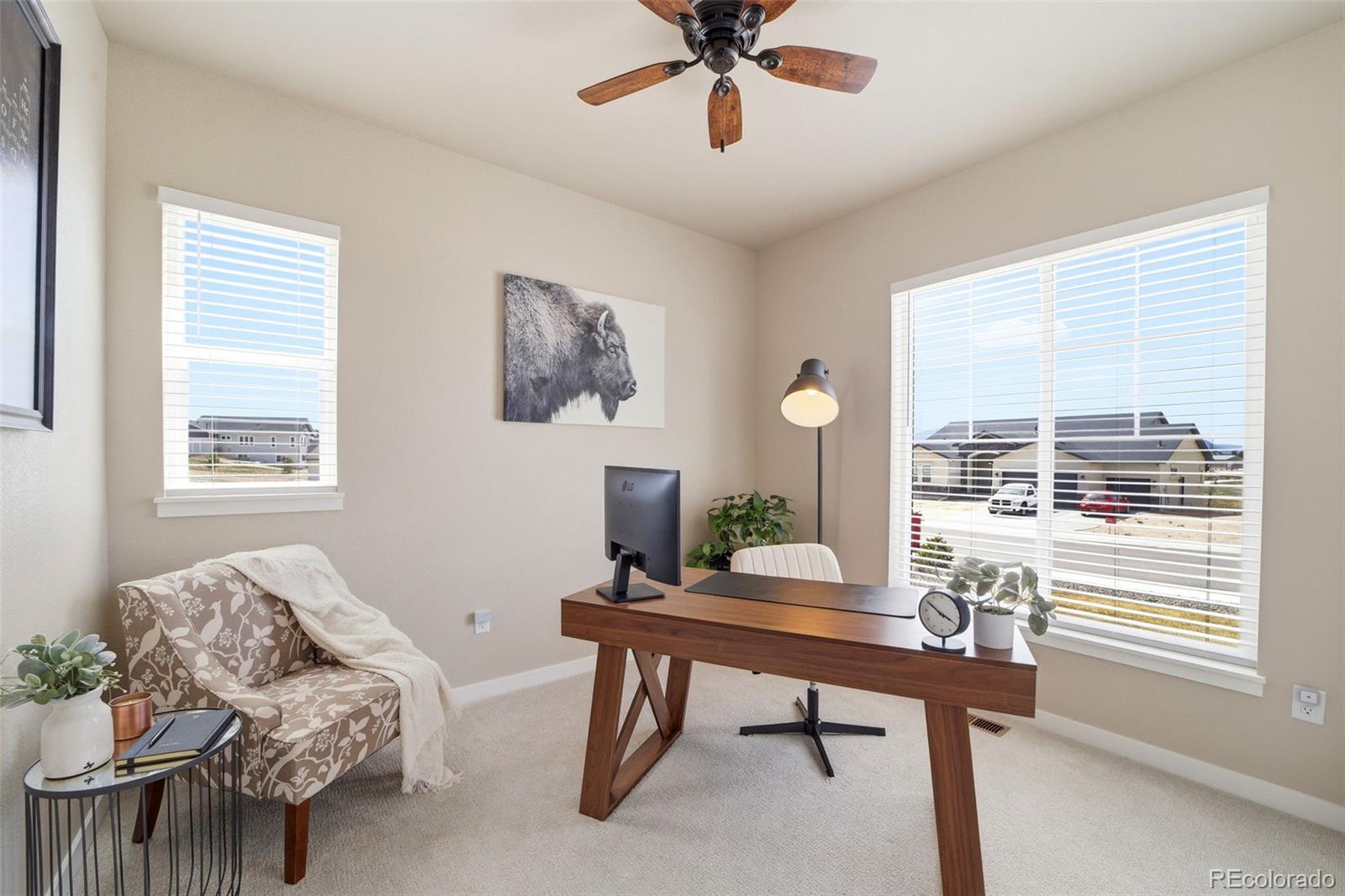 MLS Image #21 for 10327  antelope ravine drive,colorado springs, Colorado