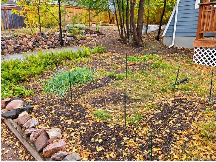 MLS Image #29 for 815  irving street,denver, Colorado