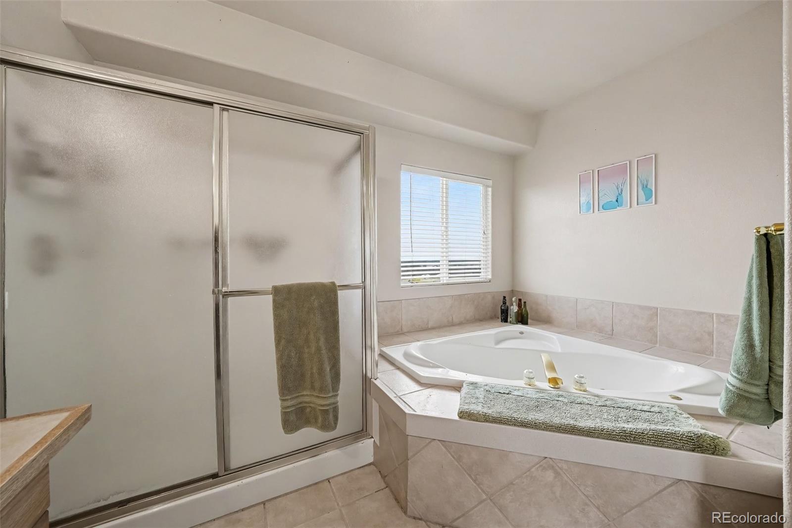 MLS Image #15 for 3678  badger lane,elbert, Colorado