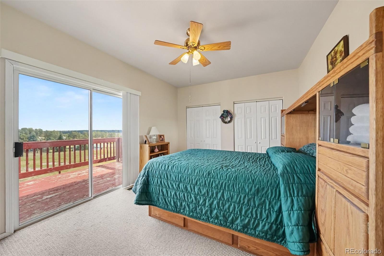 MLS Image #16 for 3678  badger lane,elbert, Colorado