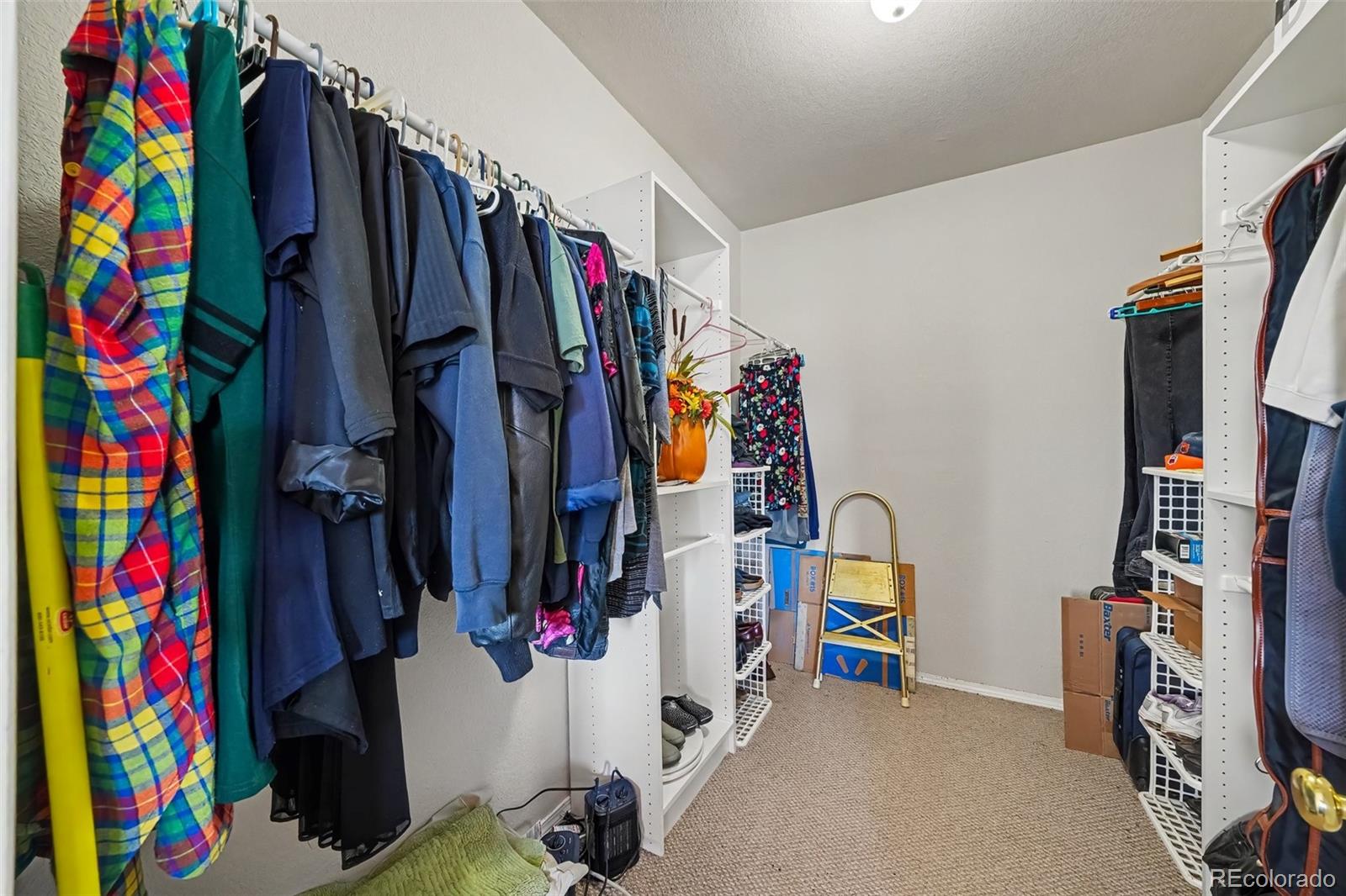 MLS Image #44 for 3678  badger lane,elbert, Colorado