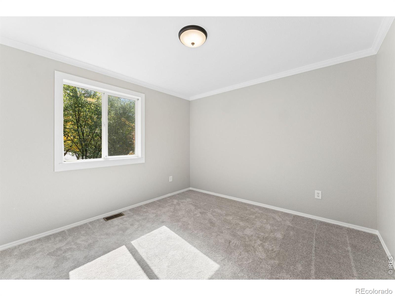 MLS Image #13 for 1361  carnation circle,longmont, Colorado
