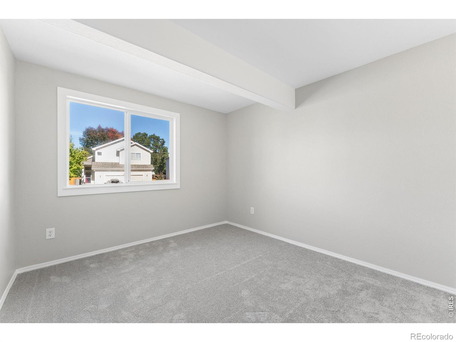 MLS Image #18 for 1361  carnation circle,longmont, Colorado