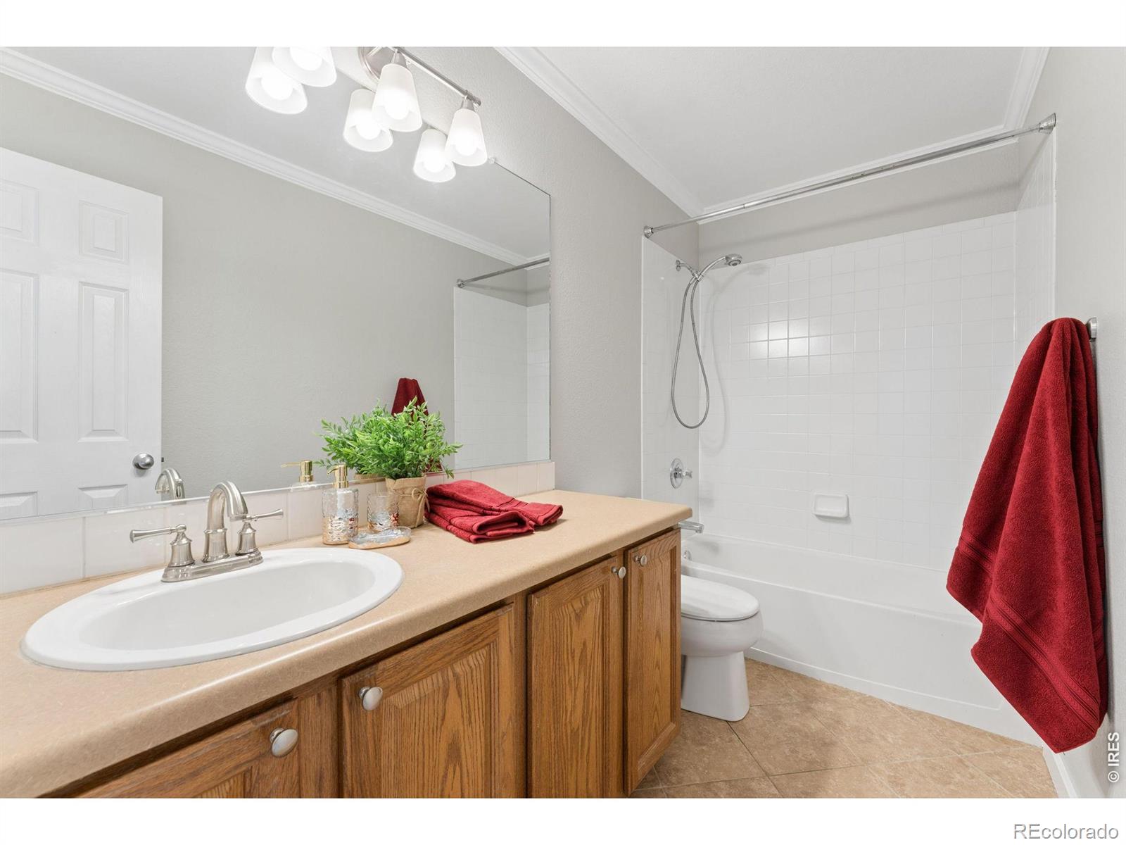 MLS Image #19 for 1361  carnation circle,longmont, Colorado