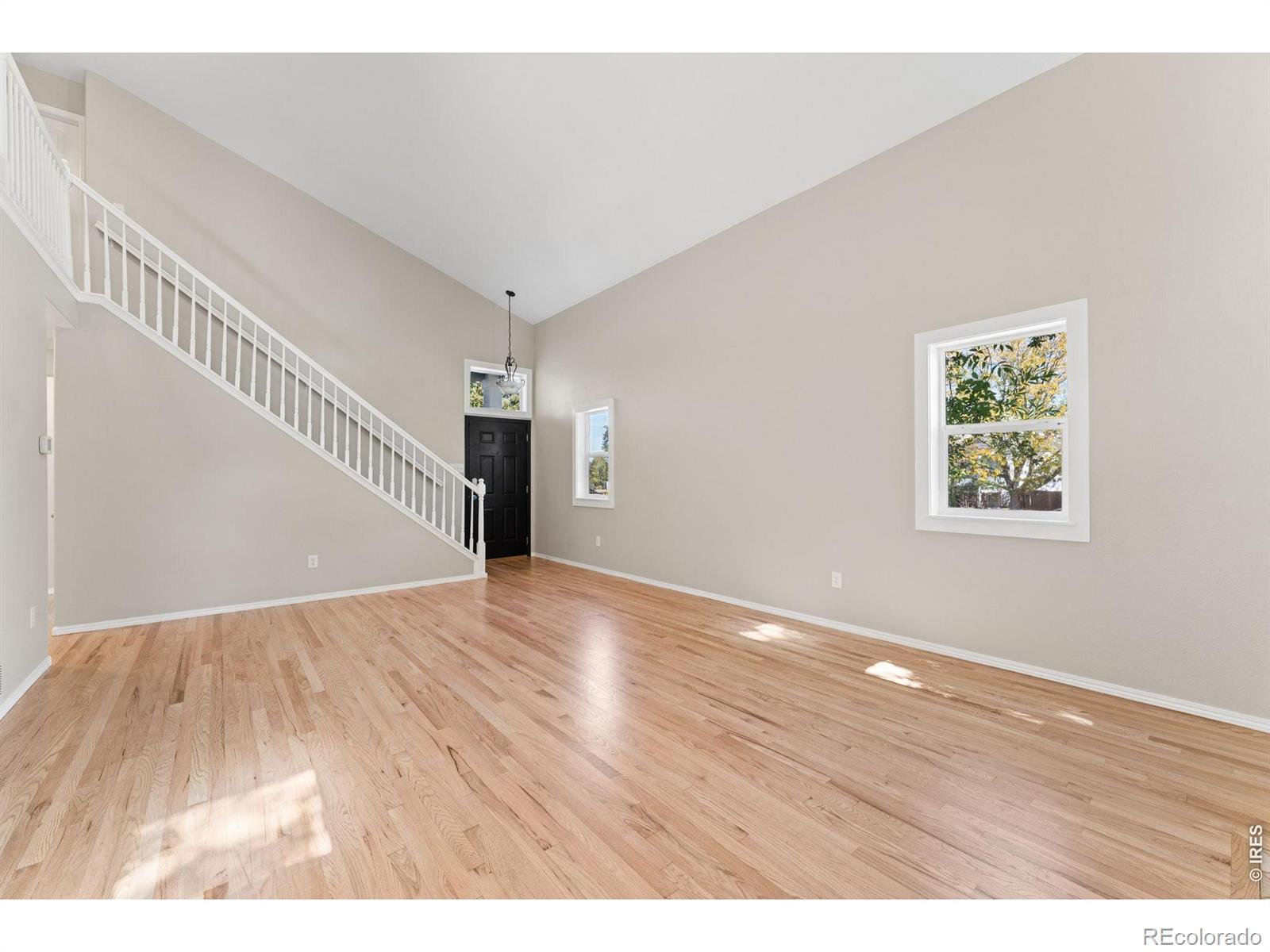 MLS Image #5 for 1361  carnation circle,longmont, Colorado
