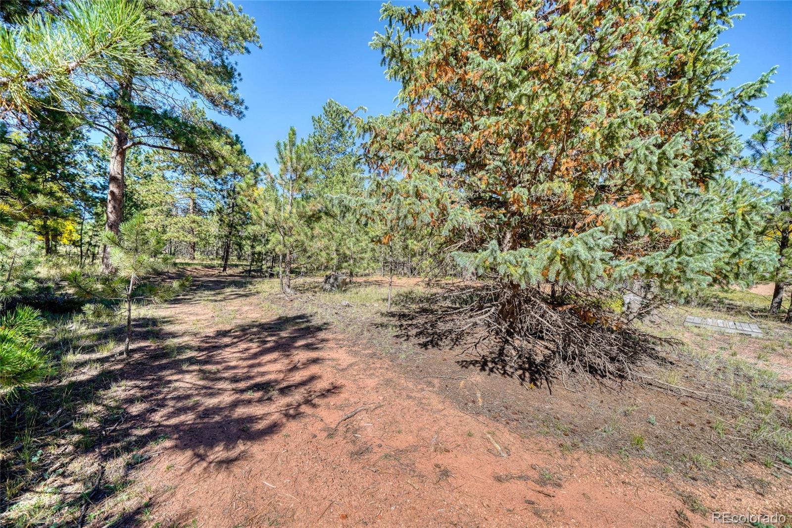 MLS Image #38 for 1867  woodland avenue,woodland park, Colorado