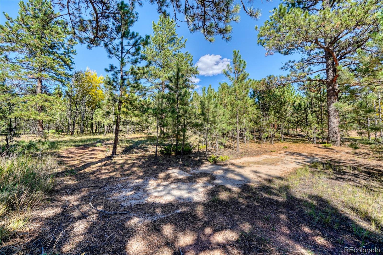 MLS Image #39 for 1867  woodland avenue,woodland park, Colorado