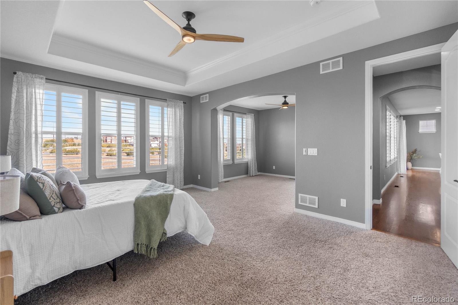 MLS Image #18 for 3003  el nido way,castle rock, Colorado