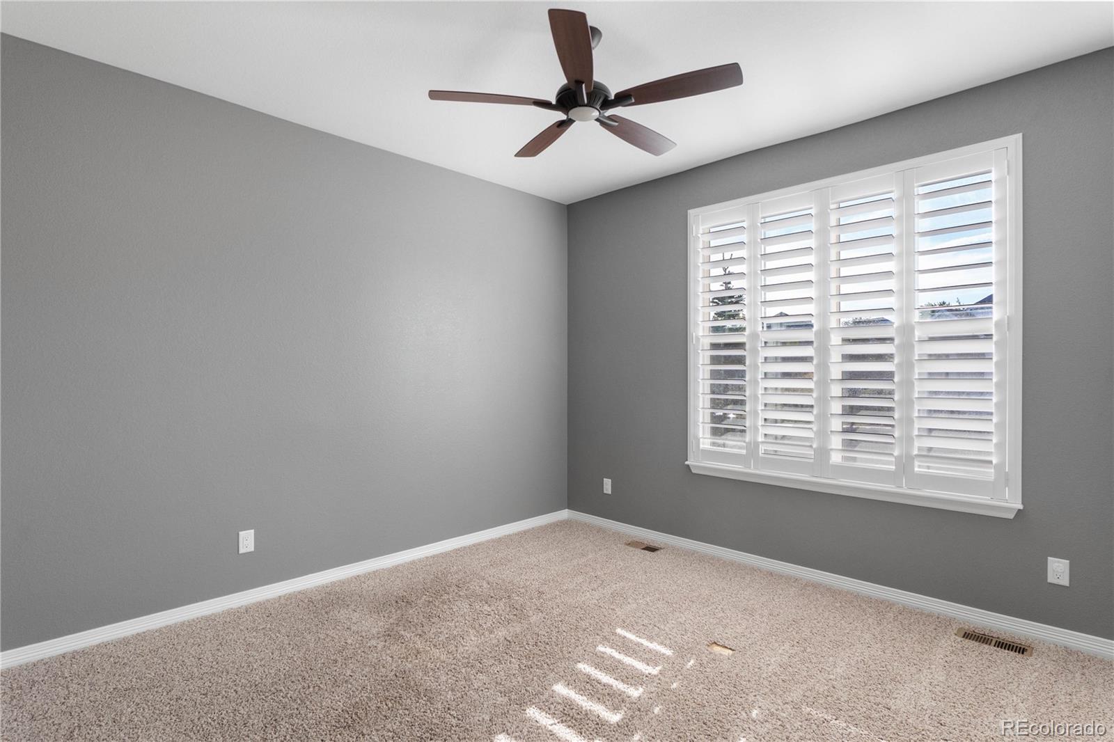 MLS Image #5 for 3003  el nido way,castle rock, Colorado