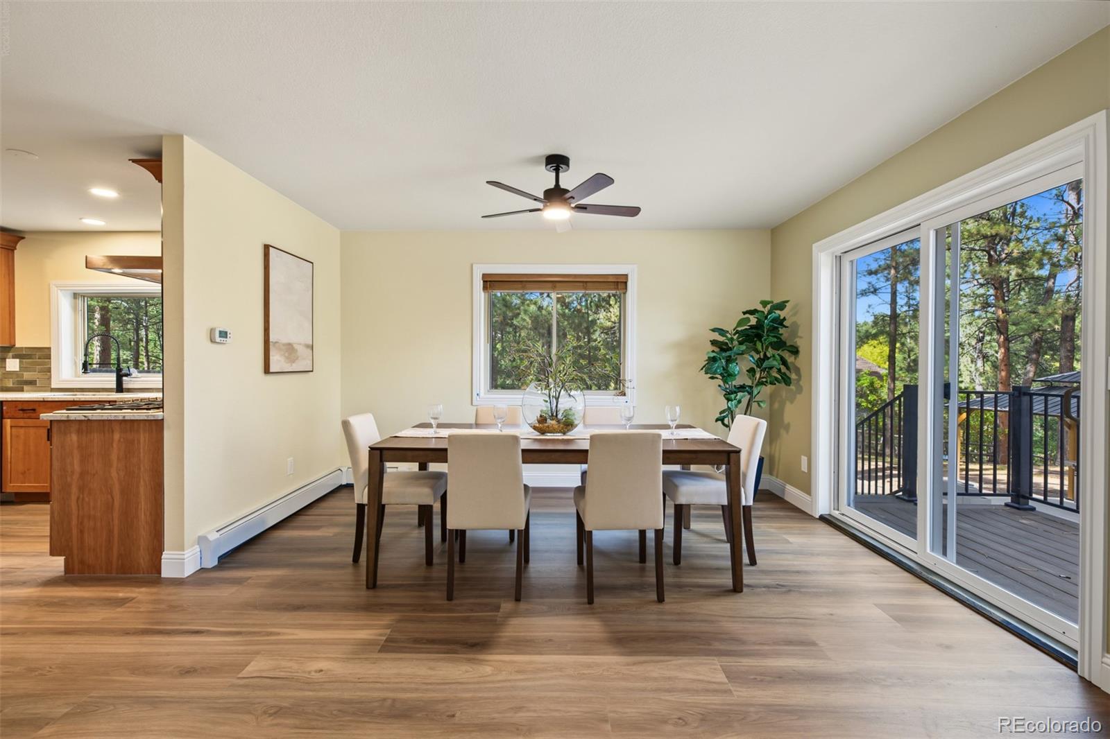 MLS Image #13 for 623  weston road,larkspur, Colorado