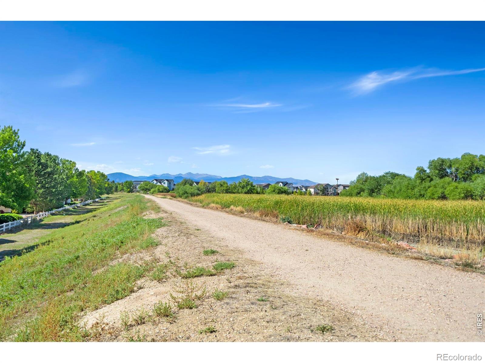MLS Image #24 for 4705  hahns peak drive,loveland, Colorado