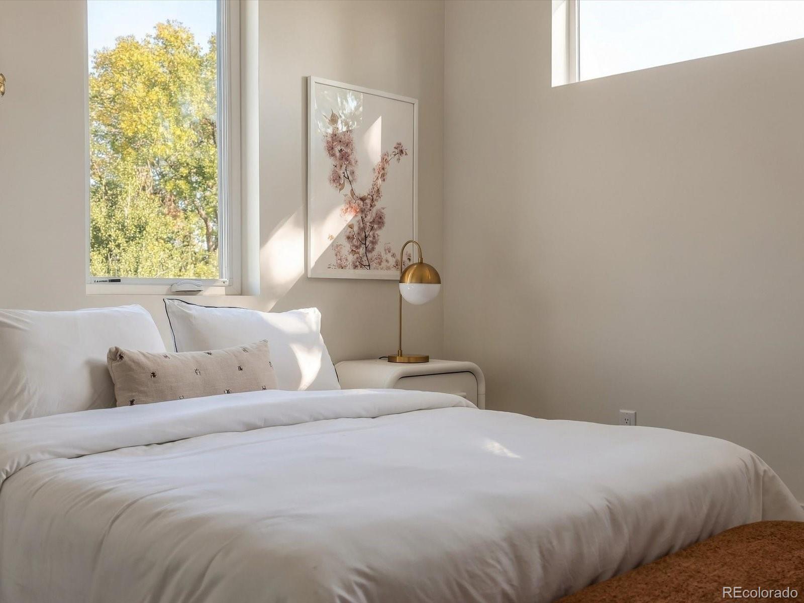 MLS Image #29 for 2687  hazel court,denver, Colorado