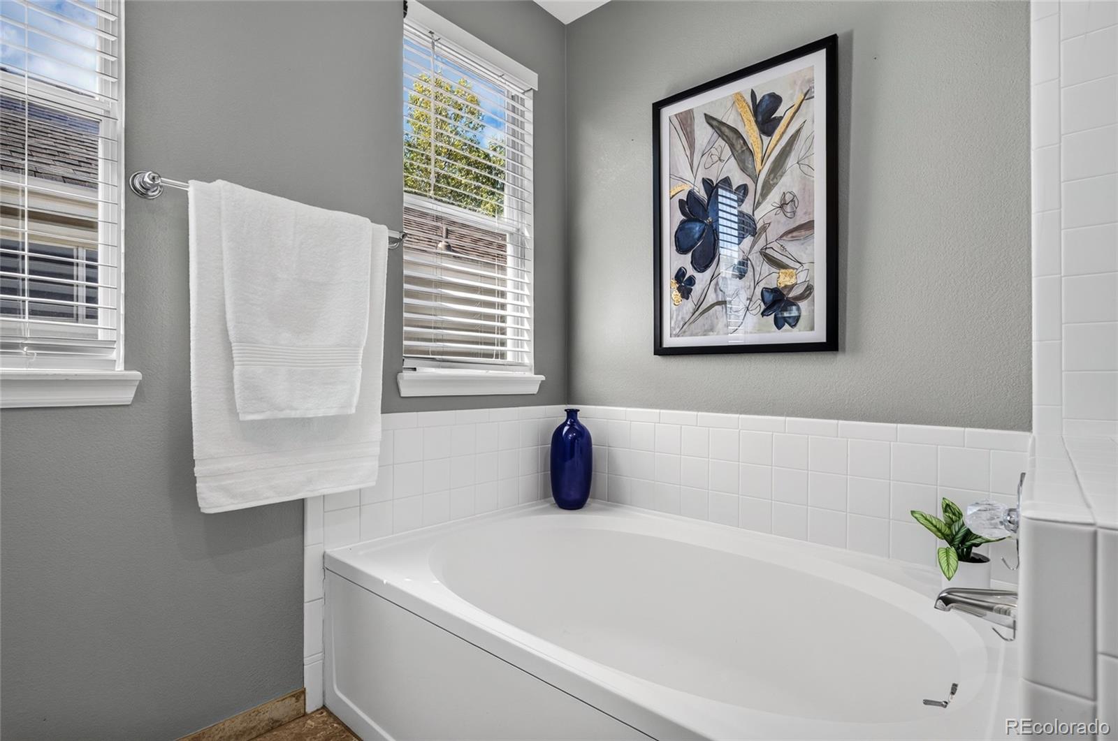 MLS Image #27 for 17335  paoli way,parker, Colorado