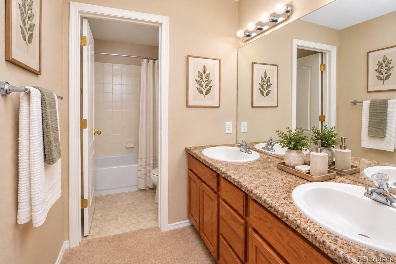 MLS Image #28 for 11835  cloudy creek court,colorado springs, Colorado
