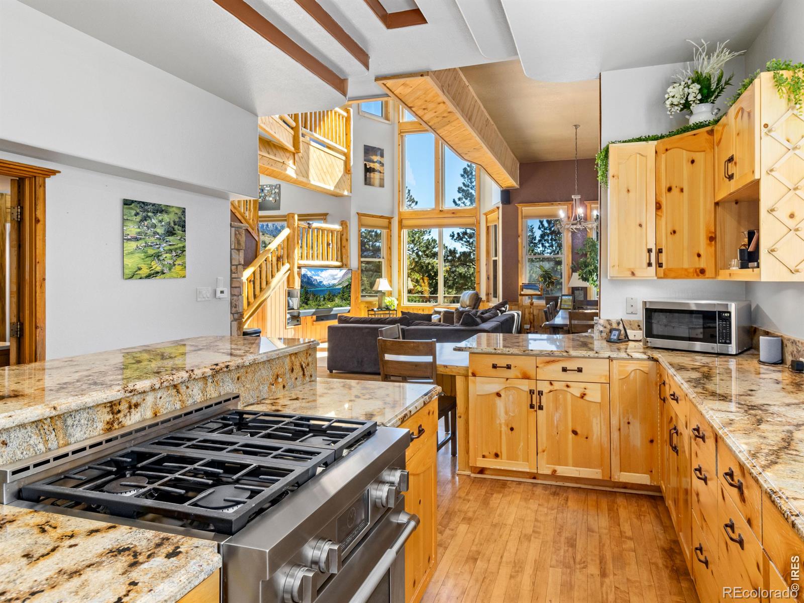 MLS Image #11 for 225  solitude court,glen haven, Colorado