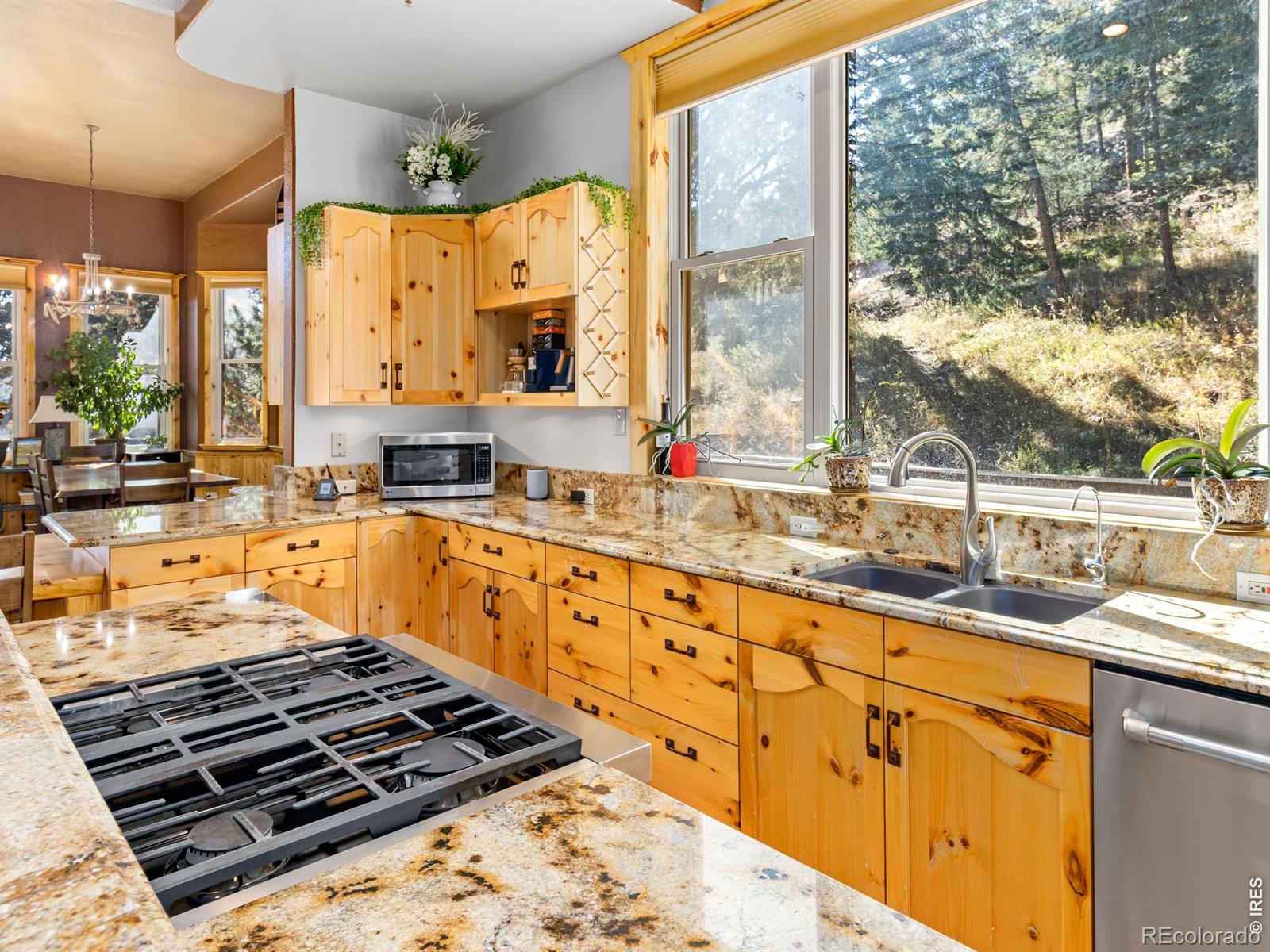 MLS Image #13 for 225  solitude court,glen haven, Colorado