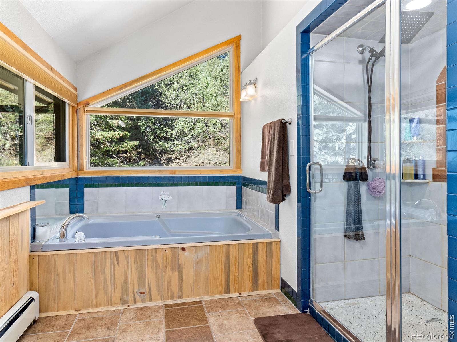 MLS Image #21 for 225  solitude court,glen haven, Colorado