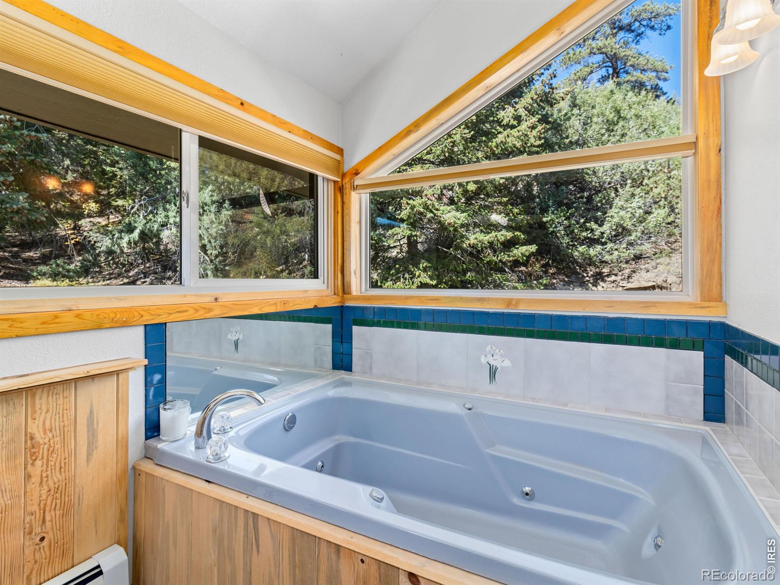 MLS Image #22 for 225  solitude court,glen haven, Colorado