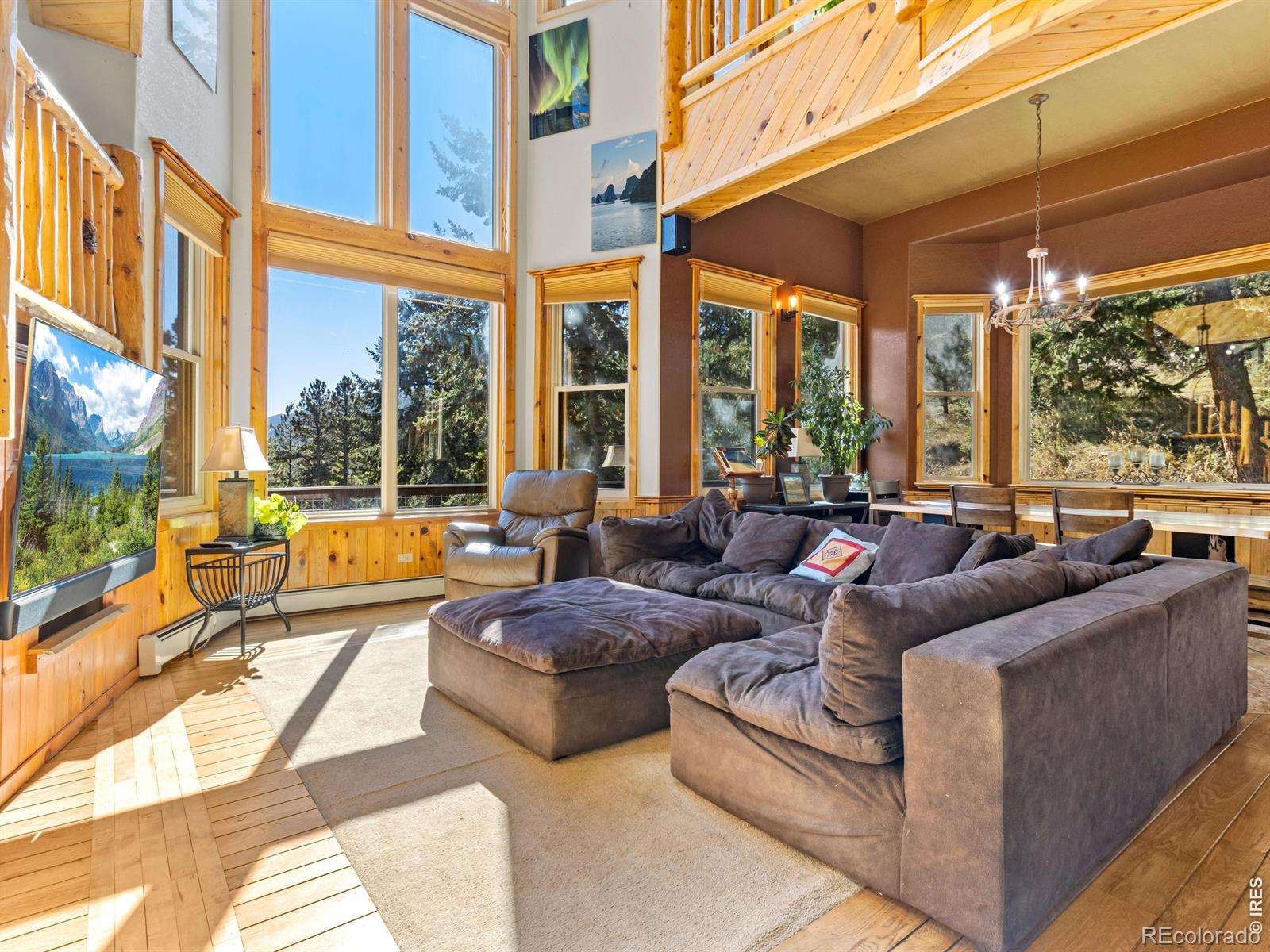 MLS Image #5 for 225  solitude court,glen haven, Colorado