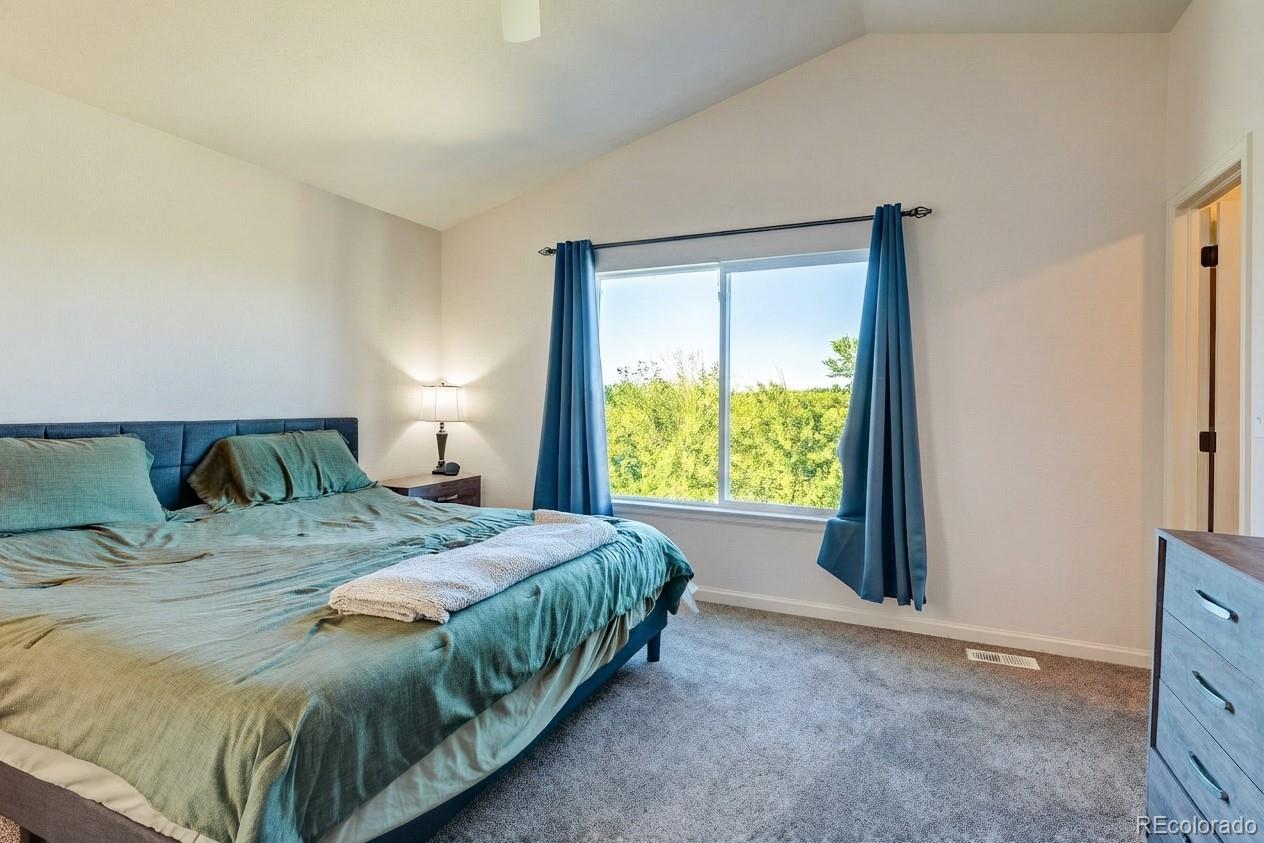 MLS Image #14 for 22159  wintergreen way,parker, Colorado