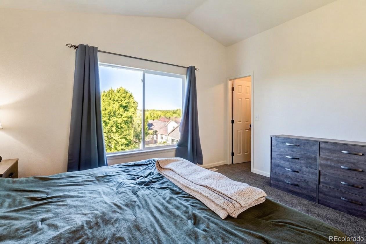 MLS Image #15 for 22159  wintergreen way,parker, Colorado