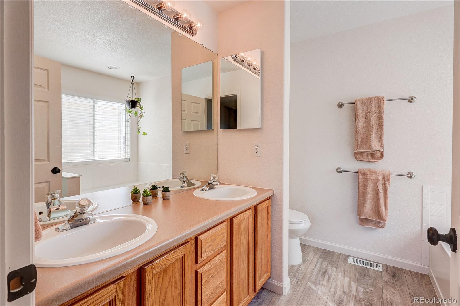 MLS Image #17 for 22159  wintergreen way,parker, Colorado