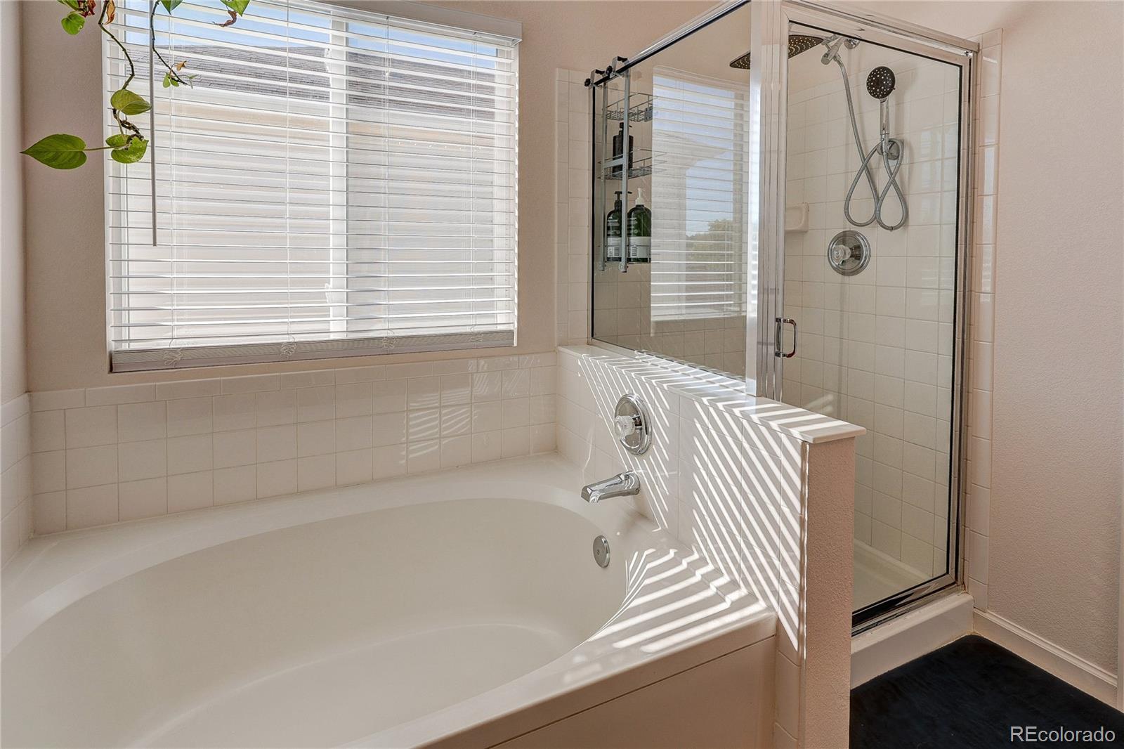 MLS Image #18 for 22159  wintergreen way,parker, Colorado