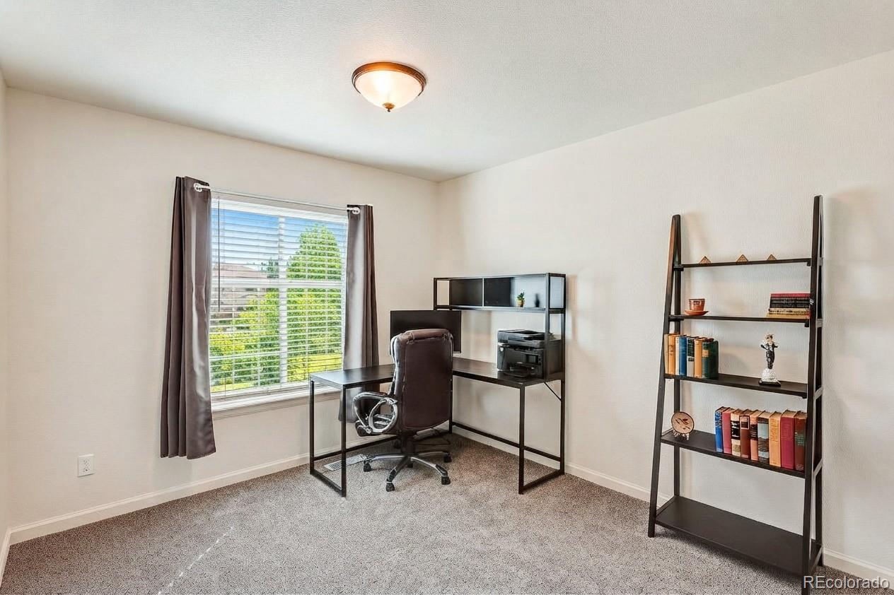 MLS Image #19 for 22159  wintergreen way,parker, Colorado