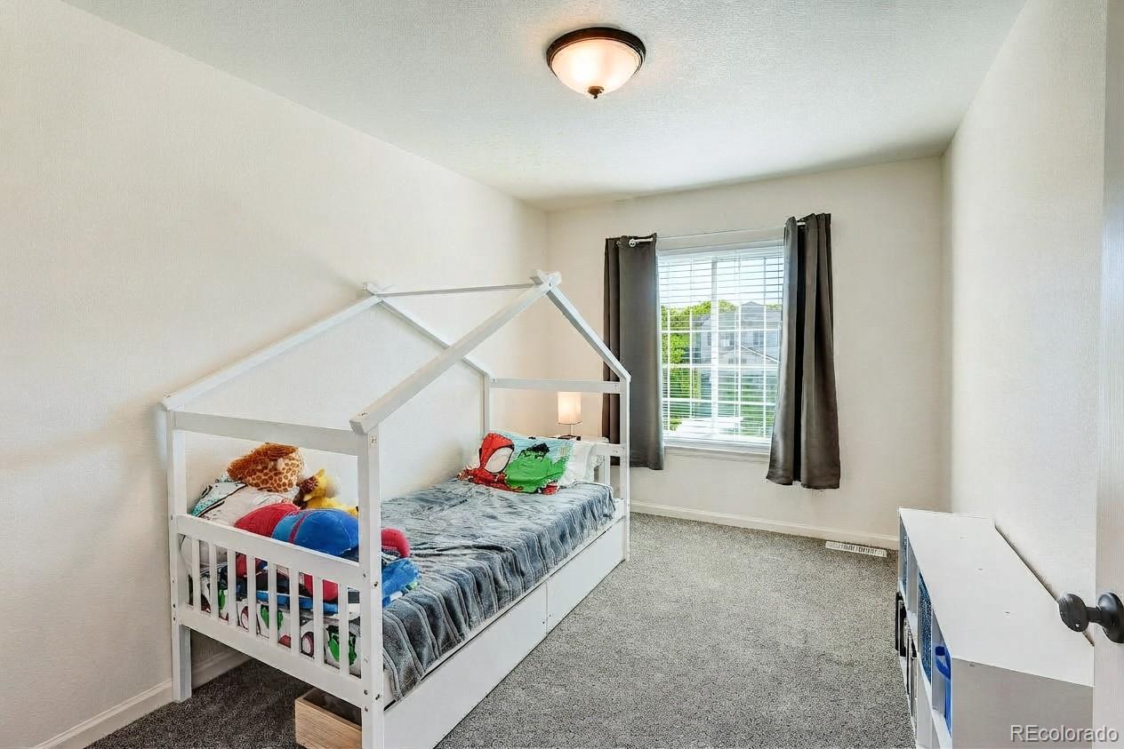 MLS Image #21 for 22159  wintergreen way,parker, Colorado
