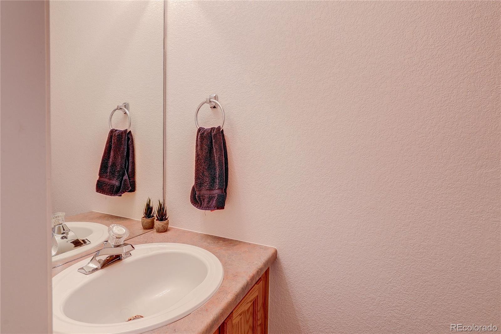 MLS Image #26 for 22159  wintergreen way,parker, Colorado