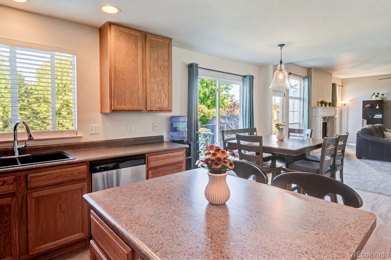 MLS Image #9 for 22159  wintergreen way,parker, Colorado